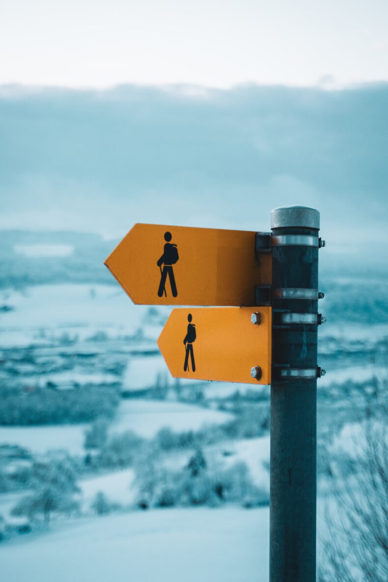 Inspiring Proactive Leadership: Overcome Undermining Traits.
